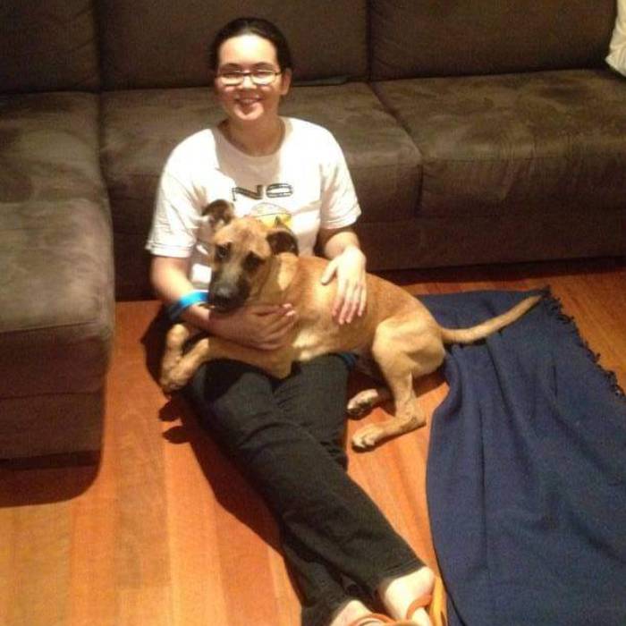 Juliana Pet and house sitting in Australia